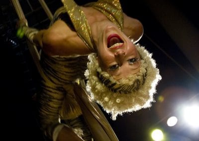 A performer in a gold costume and white curly wig hangs upside down on aerial silks, lit by stage lights.