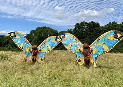Two people in colorful butterfly costumes stand in a grassy field with scattered clouds in the sky.