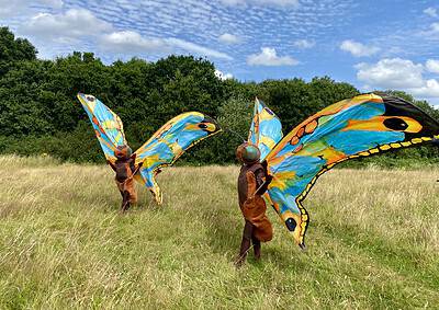 Two people in brown costumes with large, colorful butterfly wings stand in a grassy field with trees and a partly cloudy sky.