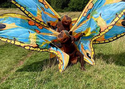 Person in colorful butterfly wings costume, standing on grass with trees and a partly cloudy sky in the background.